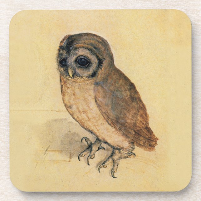 Albrecht Durer The Little Owl Drink Coaster (Front)