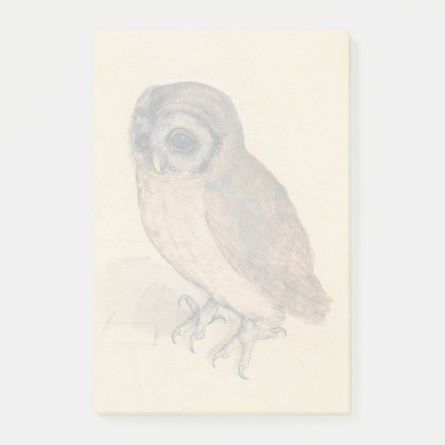 Albrecht Durer The Little Owl Post-it Notes (Front)
