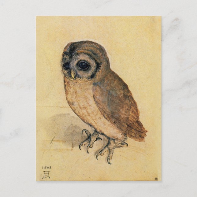 Albrecht Durer The Little Owl Postcard (Front)