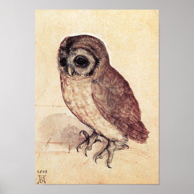 Albrecht Durer The Little Owl Poster (Front)
