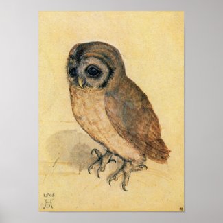 Albrecht Durer The Little Owl Poster