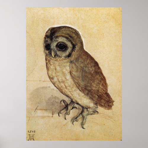 Albrecht Durer The Little Owl Poster
