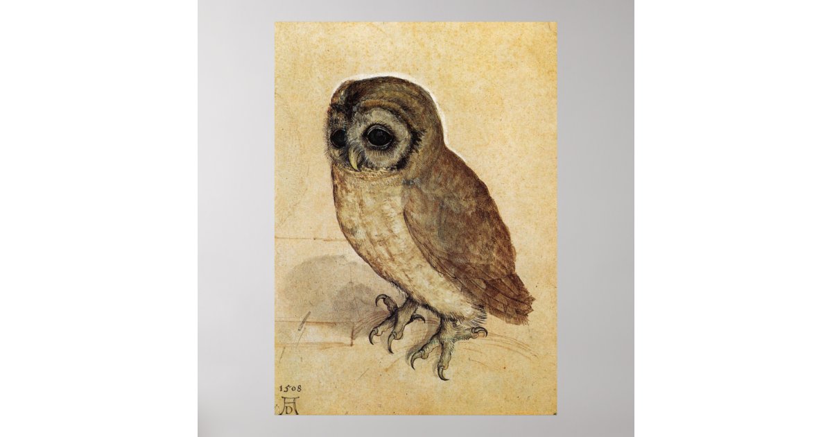 Albrecht Durer The Little Owl Poster | Zazzle