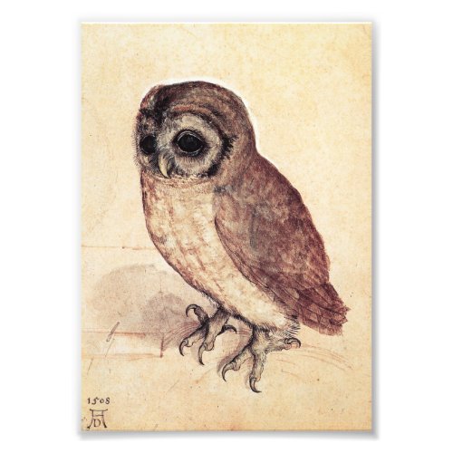 Albrecht Durer The Little Owl Print