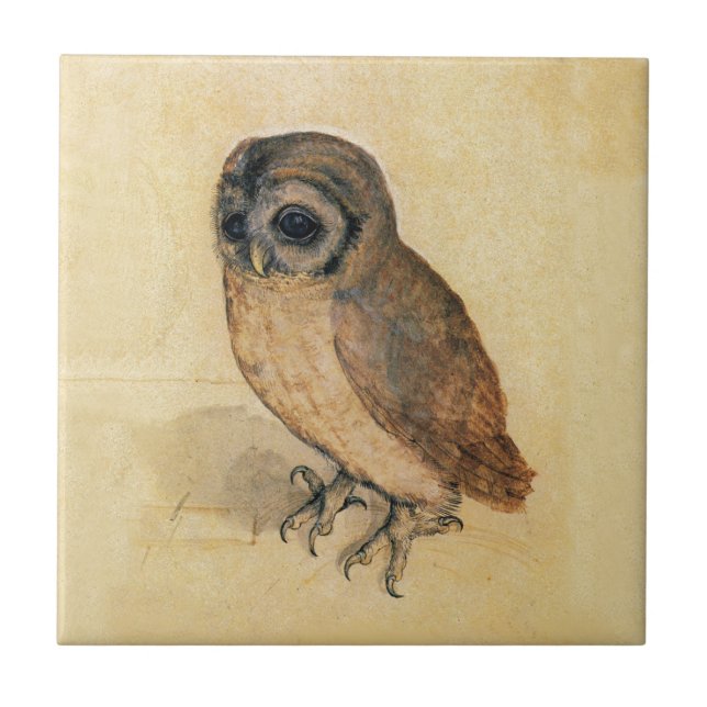 Albrecht Durer The Little Owl Tile (Front)