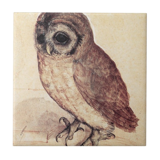 Albrecht Durer The Little Owl Tile (Front)