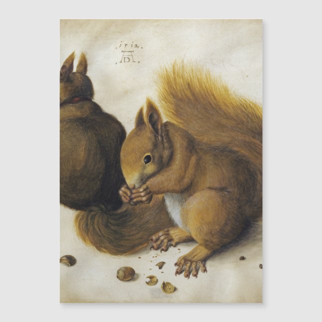 Albrecht Durer - Two Squirrels (Front)