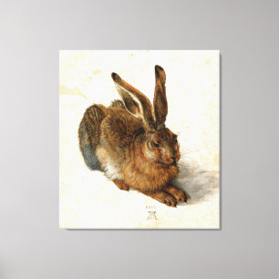 ALBRECHT DÜRER - Young hare 1502 Canvas Print