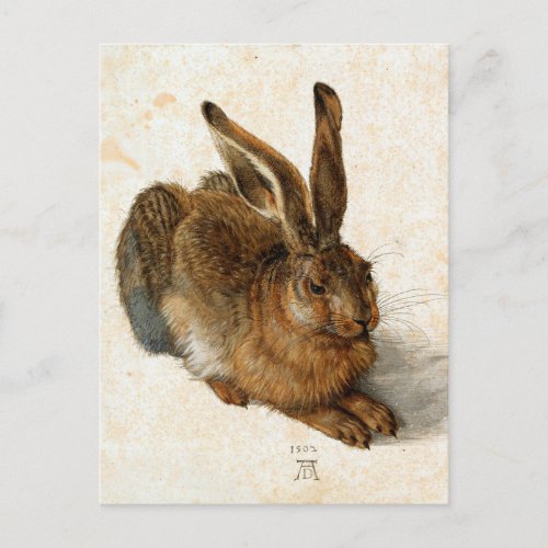 ALBRECHT DRER _ Young hare 1502 Postcard