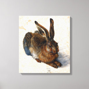 Albrecht Durer Young Hare Canvas Print