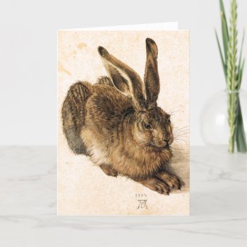 Albrecht Durer Young Hare Greeting Card by VintageSpot at Zazzle