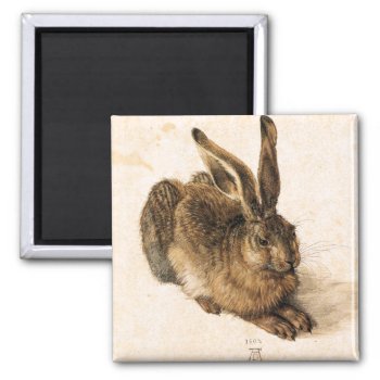 Albrecht Durer Young Hare Magnet by VintageSpot at Zazzle