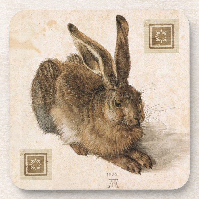 Albrecht Durer Young Hare Painting Beverage Coaster (Front)