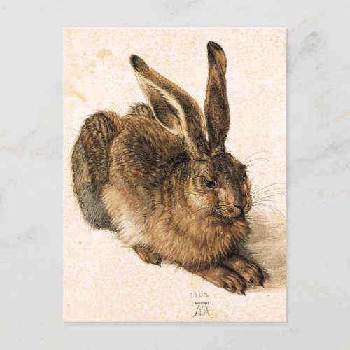 Albrecht Durer Young Hare Postcard