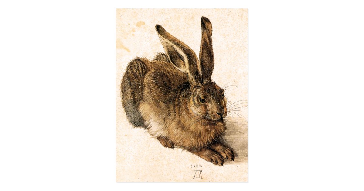 albrecht durer young hare postcard zazzle com create your own party invitations