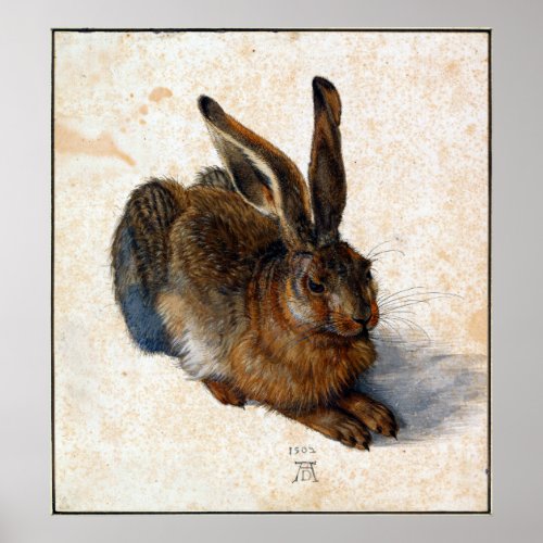 Albrecht Durer Young Hare Poster