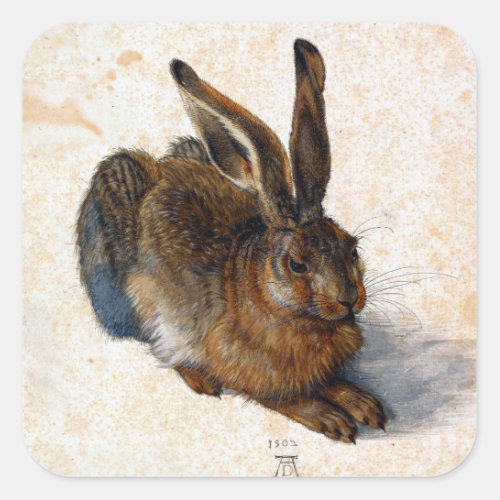 Albrecht Drer Young Hare Square Sticker