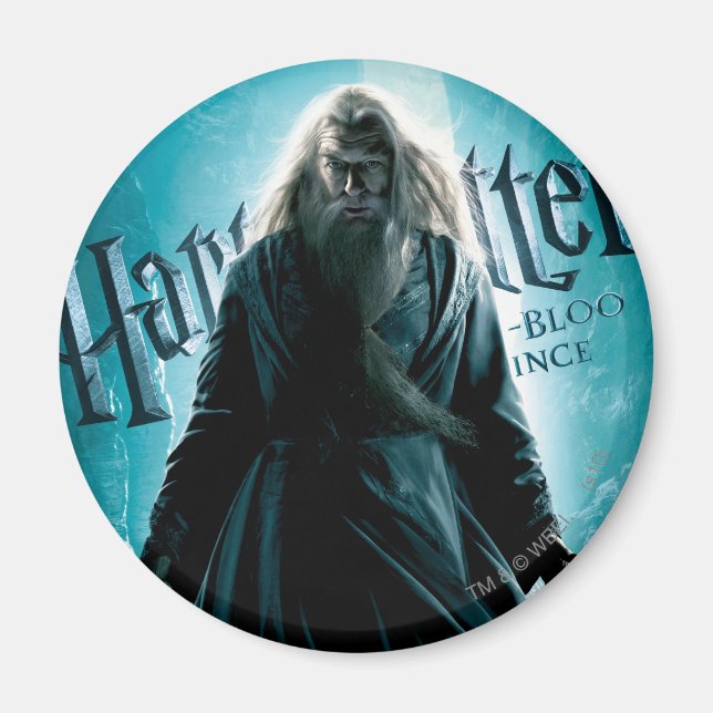 Albus Dumbledore HPE6 1 Magnet (Front)
