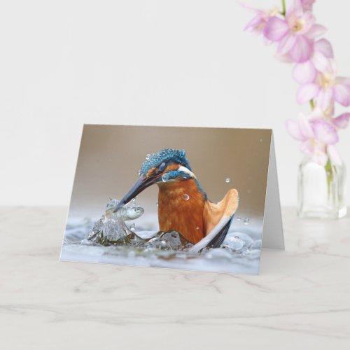 Alcedo Atthis Kingfisher hunting water Luca Casale Card