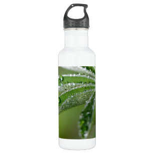 Alchemilla Alpina Alpine Lady's Mantle Leaf Water Bottle