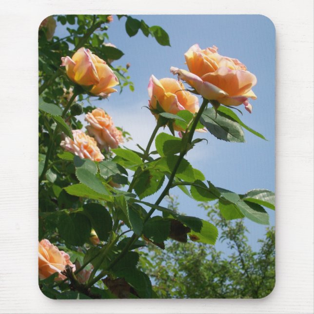 'Alchemist' Rose Mousepad (Front)