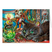 Alchemist's Cat (Front Horizontal)