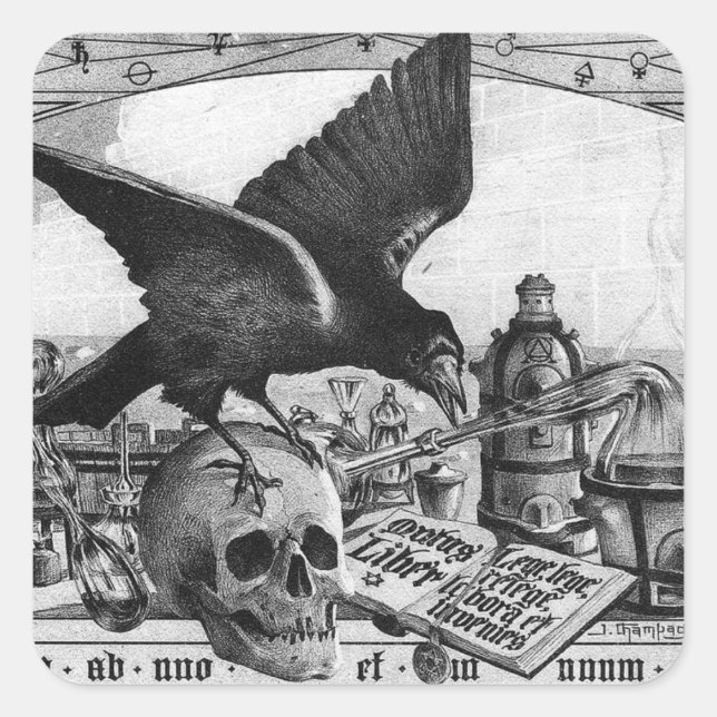 Alchemy Lab and Human Skull Stickers (Front)