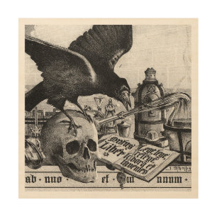 Alchemy Laboratory Raven and Human Skull Wood Wall Decor