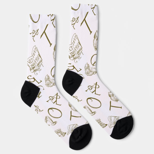 Alchemy Socks (Right)