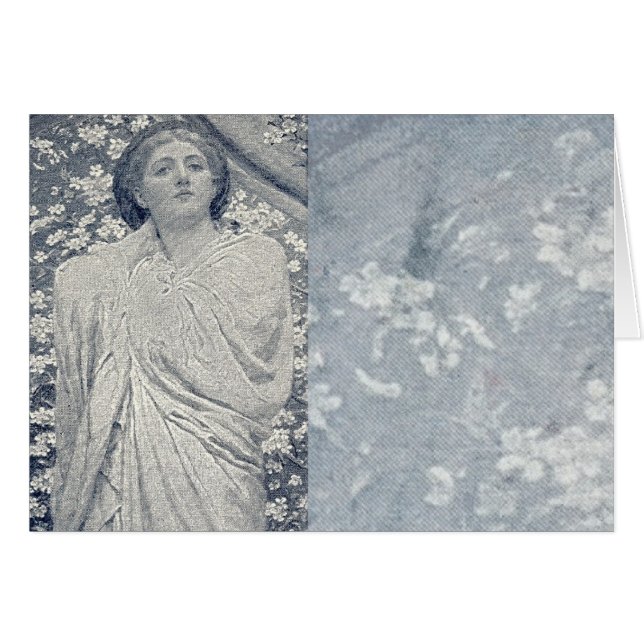 Alcinea 1 (Front Horizontal)