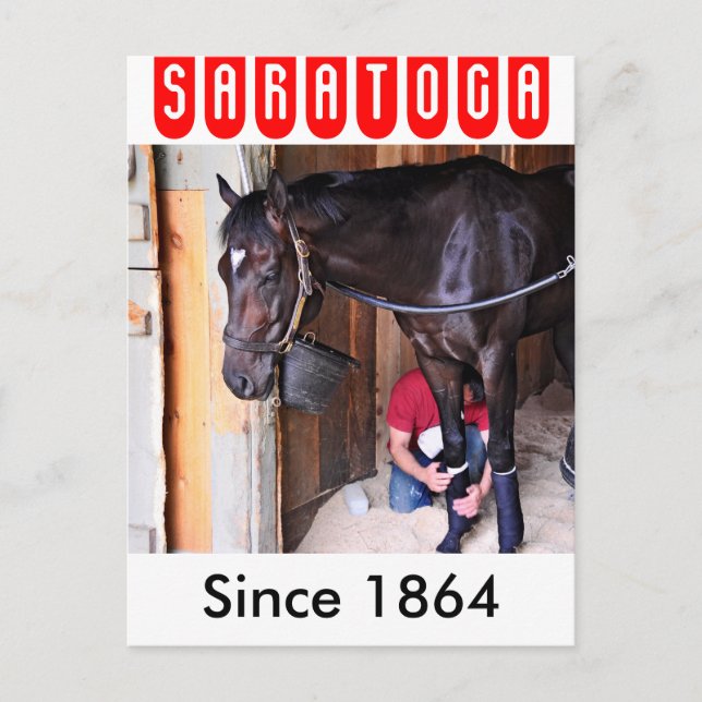 Alcolite- Horse Haven Barns at Saratoga Postcard (Front)