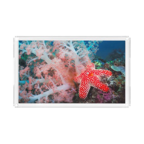 Alconarian Coral Starfish Acrylic Tray