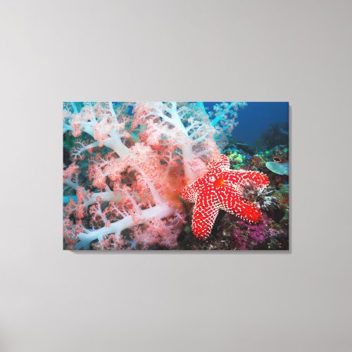 Alconarian Coral Starfish Canvas Print