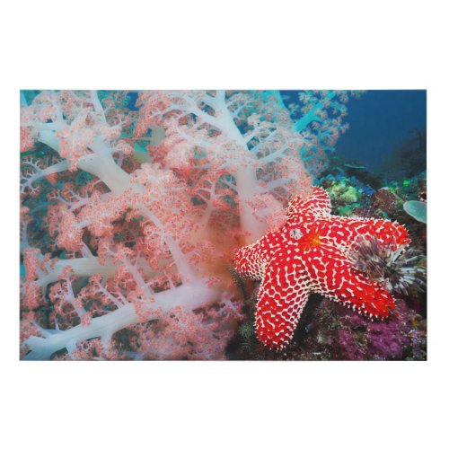 Alconarian Coral Starfish Faux Canvas Print