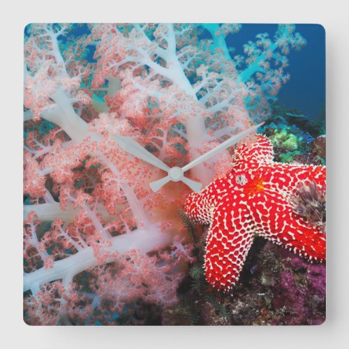 Alconarian Coral Starfish Square Wall Clock