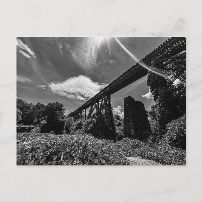 Alcovy Trestle Postcard (Front)