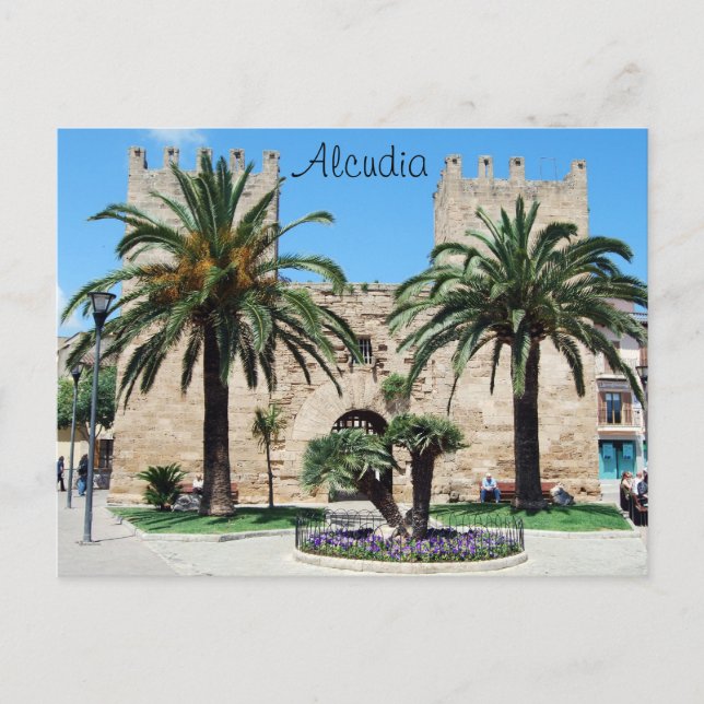 Alcudia, Mallorca Postcard (Front)