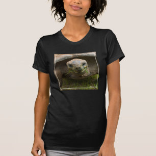 Aldabra Tortoise Feeding T-Shirt