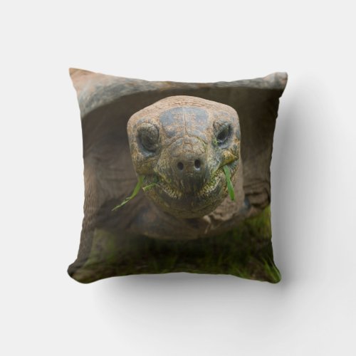 Aldabra Tortoise Feeding Throw Pillow