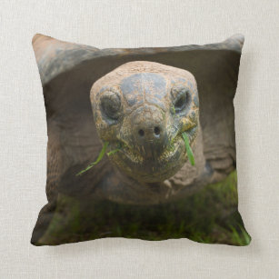 Aldabra Tortoise Feeding Throw Pillow