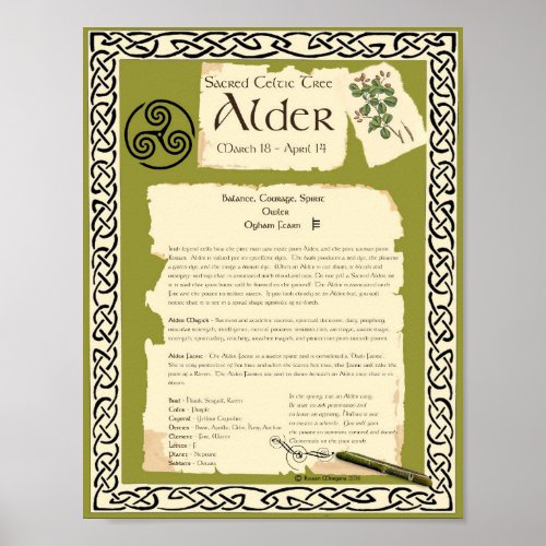 ALDER CELTIC SACRED TREE POSTER