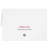 Alder Heart - Card (Back Horizontal)