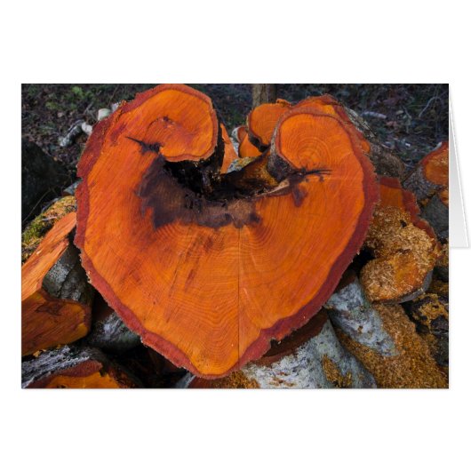Alder Heart - Card (Front Horizontal)