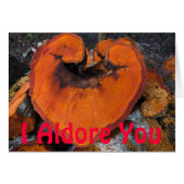 Alder Heart - Card (Front Horizontal)