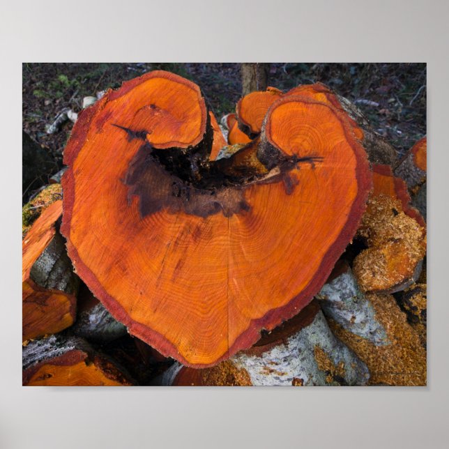 Alder Heart - Poster (Front)