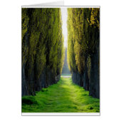 ALEJAWroclaw Poland (Front)