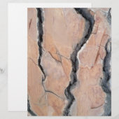 Aleppo pine (Front/Back)