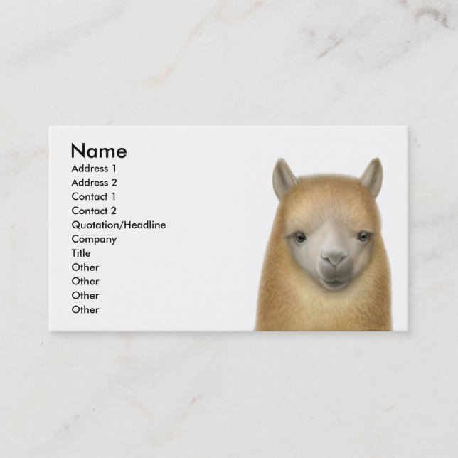 Alert Alpaca Business Card (Front)