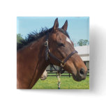 Alert Arab Horse Pin