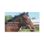 Alert Arabian Horse Business Card